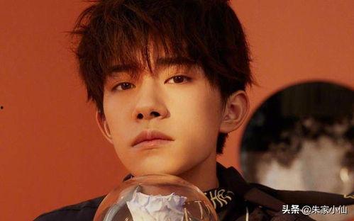 娱乐吃瓜酱杨洋,娱乐吃瓜酱中的璀璨明星 第1张 娱乐吃瓜酱杨洋,娱乐吃瓜酱中的璀璨明星 第1张